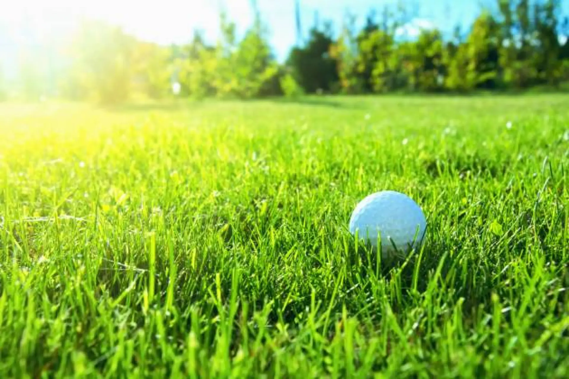Sportingbet Golf Game